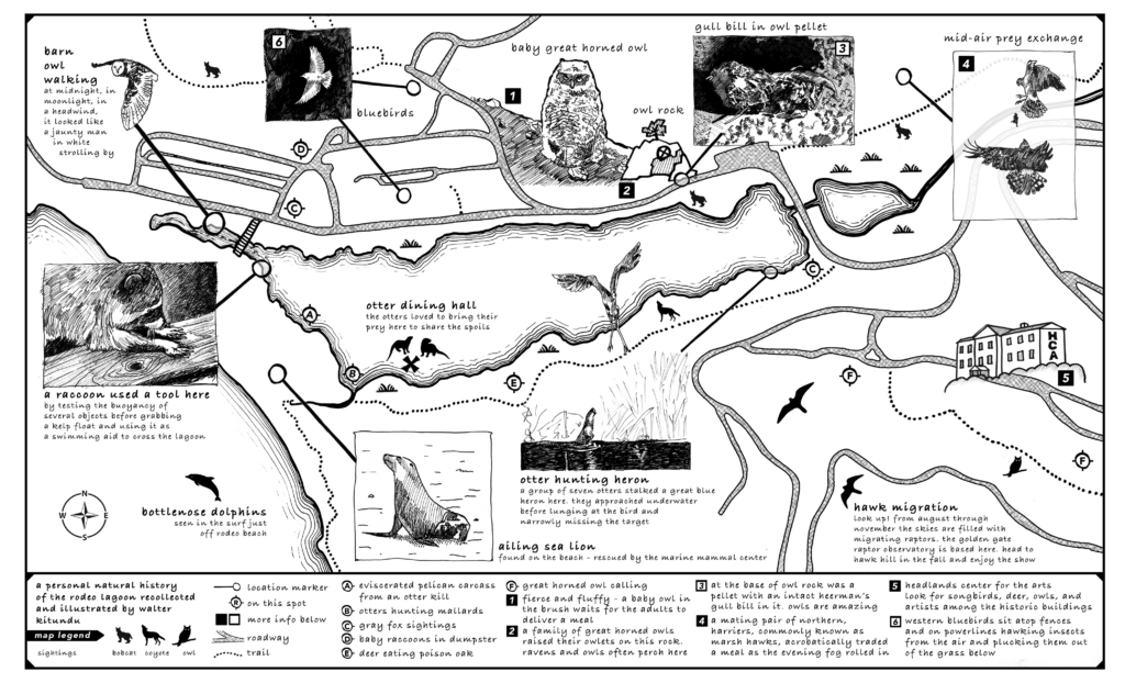 Park Map of Black Oak Resort